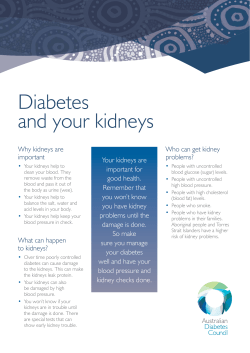 Diabetes and your kidneys