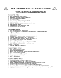 optional biogeochemical cycle review