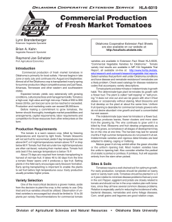 Commercial Production of Fresh Market Tomatoes
