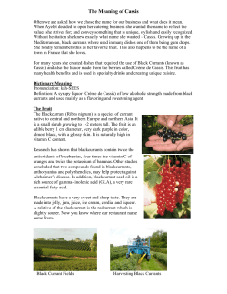 The Meaning of Cassis