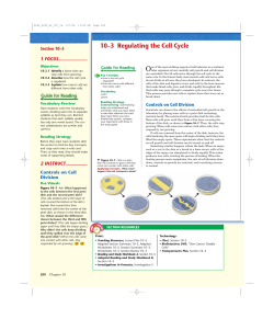 10–3 Regulating the Cell Cycle