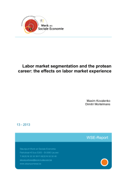 Labor market segmentation and the protean career