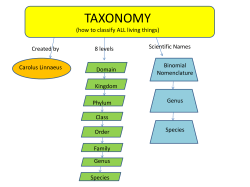taxonomy - Fall River Public Schools