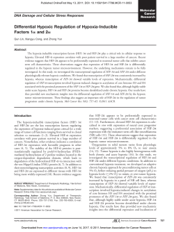 Differential Hypoxic Regulation of Hypoxia