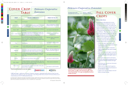 Cover Crops - Delaware State University