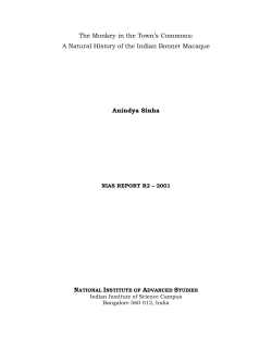 The Monkey in the Town`s Commons: A Natural History of the Indian