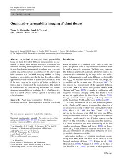 Quantitative permeability imaging of plant tissues