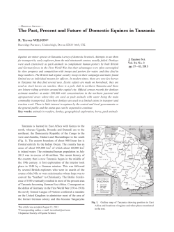 The Past, Present and Future of Domestic Equines - J