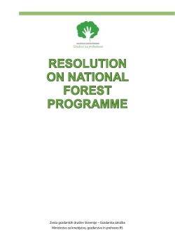 National Forest Programme
