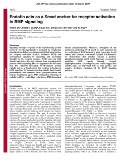 Endofin acts as a Smad anchor for receptor activation in BMP