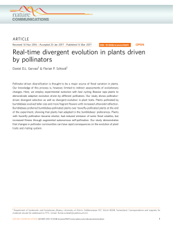 Real-time divergent evolution in plants driven by pollinators