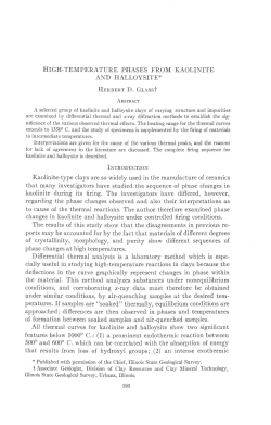 HIGH-TEMPERATURE PHASES FROM KAOLINITE AND