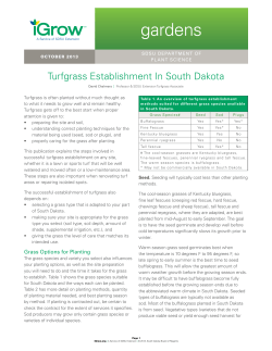 Turfgrass Establishment In South Dakota