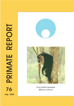 primate report - Deutsches Primatenzentrum
