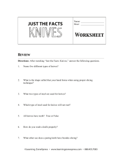 JUST THE FACTS Worksheet
