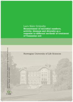 Lars K&aring;re Grimsby