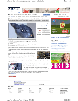 Out of Town Penguin Gets Eye Surgery in Salt Lake