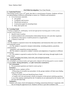 Owl Pellets Lesson Plan - St. Edwards University