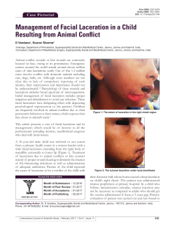 Management of Facial Laceration in a Child Resulting from Animal