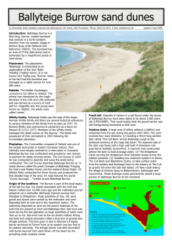 Ballyteige Burrow sand dunes