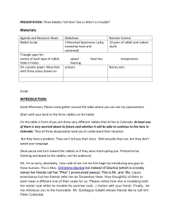 Materials: INTRODUCTION: