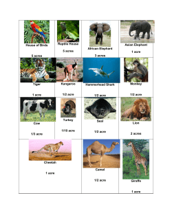 House of Birds 5 acres Reptile House 5 acres African Elephant 3