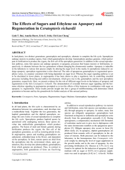 The Effects of Sugars and Ethylene on Apospory and Regeneration