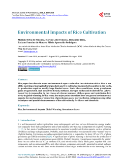 Environmental Impacts of Rice Cultivation