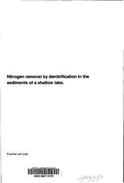 Nitrogen removal by denitrification in the - Wageningen UR E