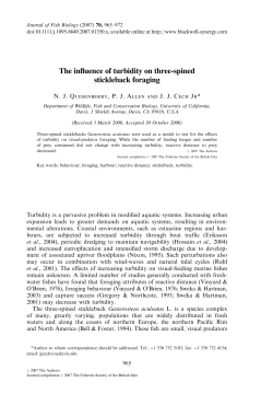 The influence of turbidity on three