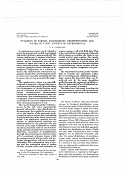dynamics of partial anaerobiosis, denitrification, and water in a soil