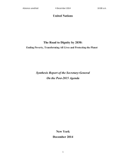 United Nations The Road to Dignity by 2030: Synthesis Report of the
