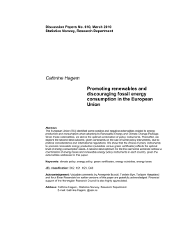 Promoting renewables and discouraging fossil energy