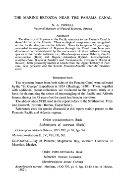 The Marine Bryozoa Near the Panama Canal