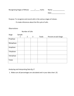 1. Mitosis lab