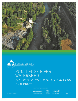 species of interest action plan - Fish and Wildlife Compensation