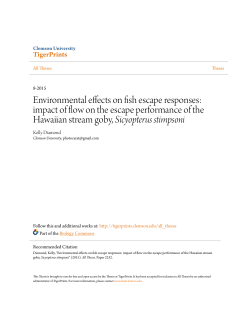 Environmental effects on fish escape responses