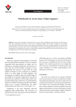 Polydactyly in Arctic foxes (Vulpes lagopus)