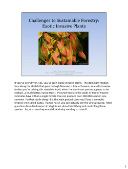 Challenges to Sustainable Forestry: Exotic Invasive Plants