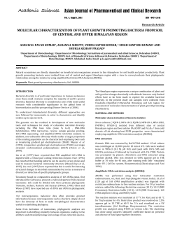 molecular characterization of plant growth promoting bacteria from