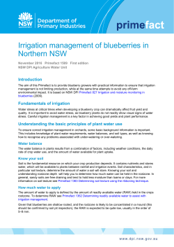 Irrigation management of blueberries in Northern NSW