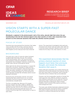 Read the Research Brief