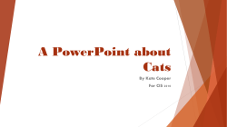 A PowerPoint about Cats