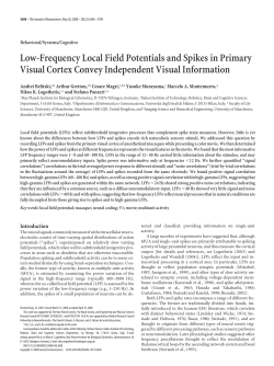 Low-Frequency Local Field Potentials and Spikes in Primary Visual