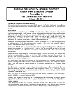 director`s report - Pueblo City