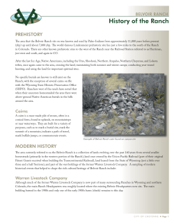 Read the Document (325KB PDF)