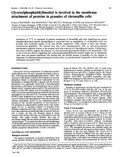 Glycosylphosphatidylinositol is involved in the membrane