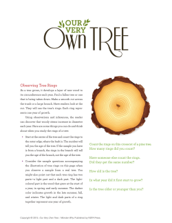 Observing Tree Rings