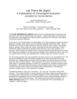 Let There Be Sight: Convergent Evolution