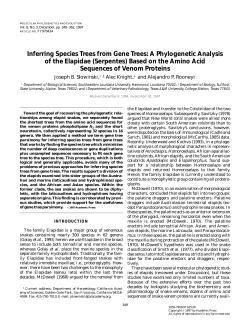 Inferring Species Trees from Gene Trees: A